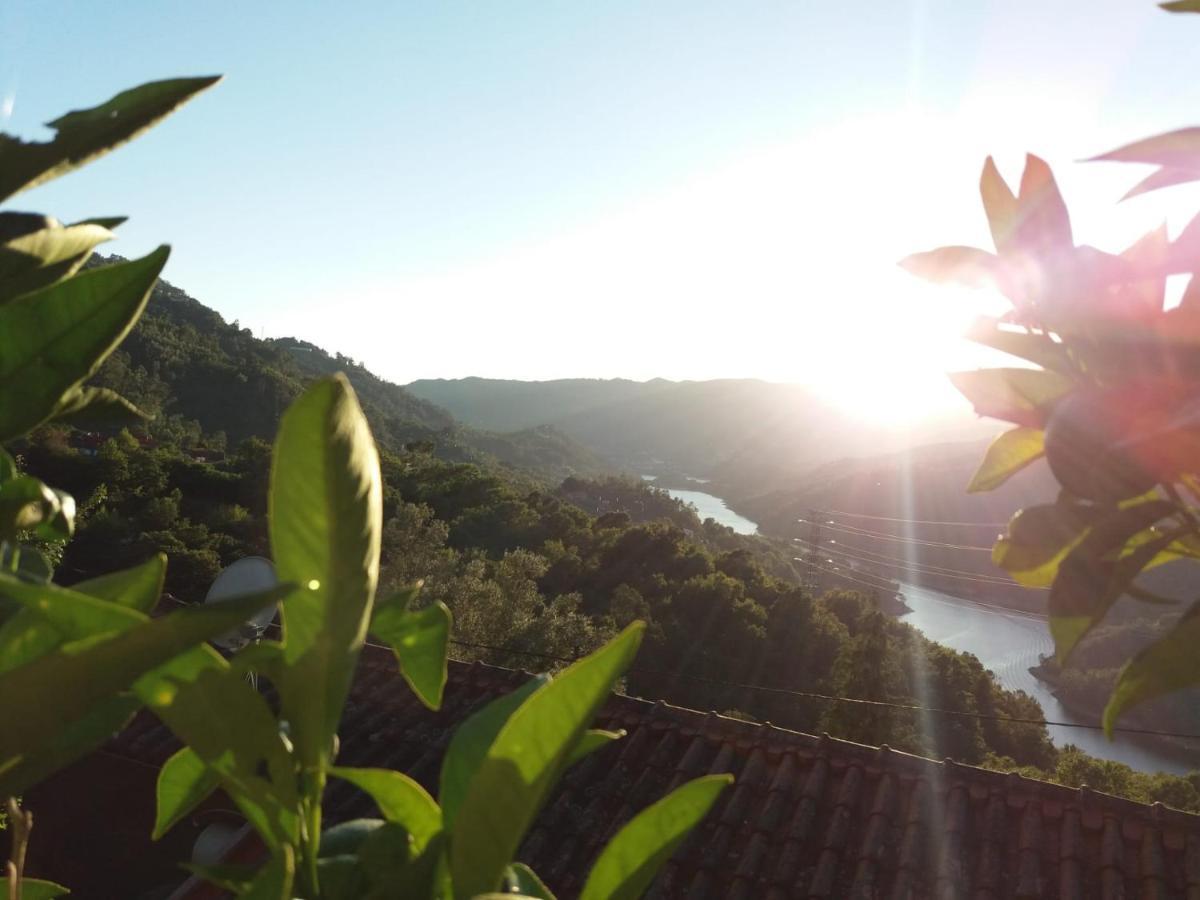 Casa Do Quitaranda - Geres Villa Vieira do Minho Dış mekan fotoğraf